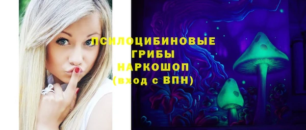 крисы Абаза