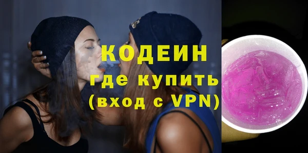 крисы Абаза