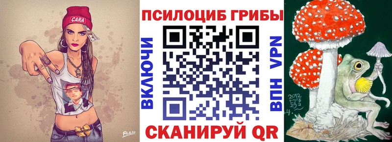 Галлюциногенные грибы Psilocybine cubensis  OMG   Ужур 